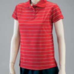 Rail Stripe Ladies Golf Shirt